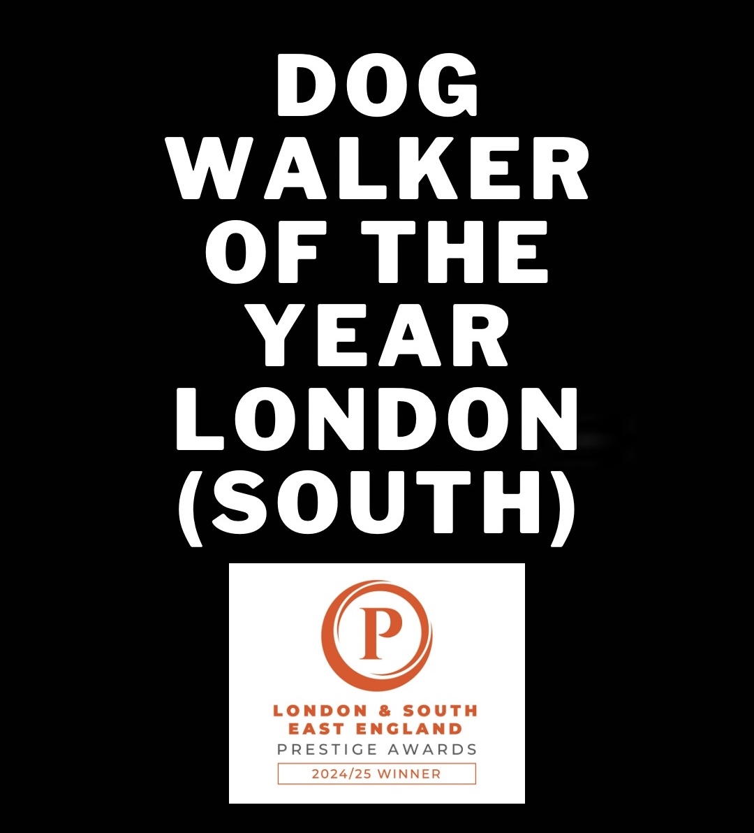 Dog Walker Of The Year London (South) 2024