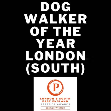 Dog Walker Of The Year London (South) 2024